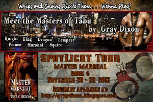 Master Marshal Blog Tour Banner 2